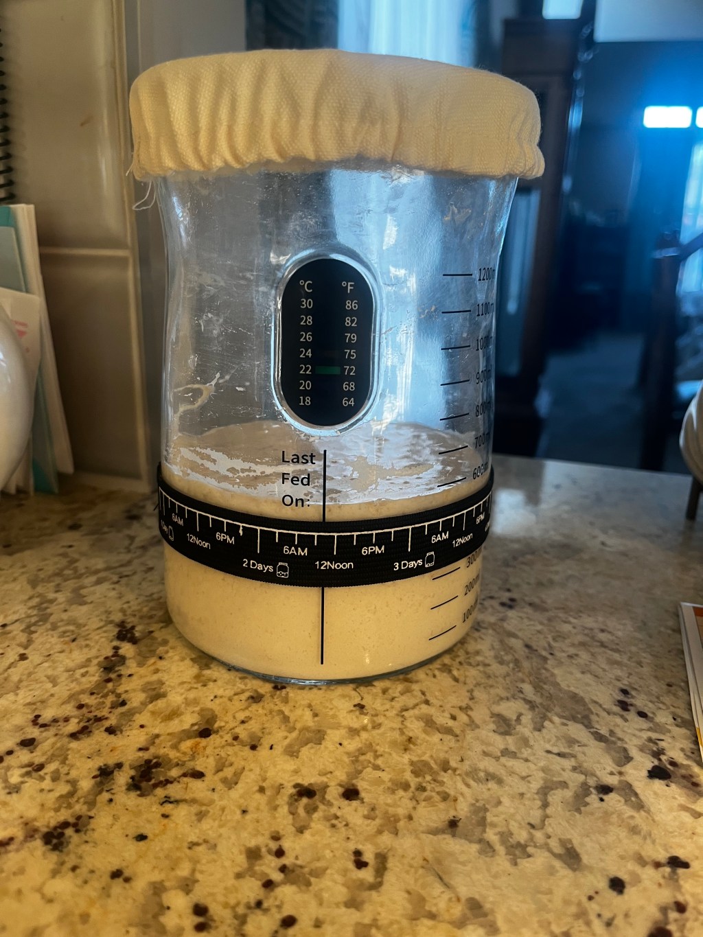 Sourdough Starter: I have named her “Dough-lene”.
