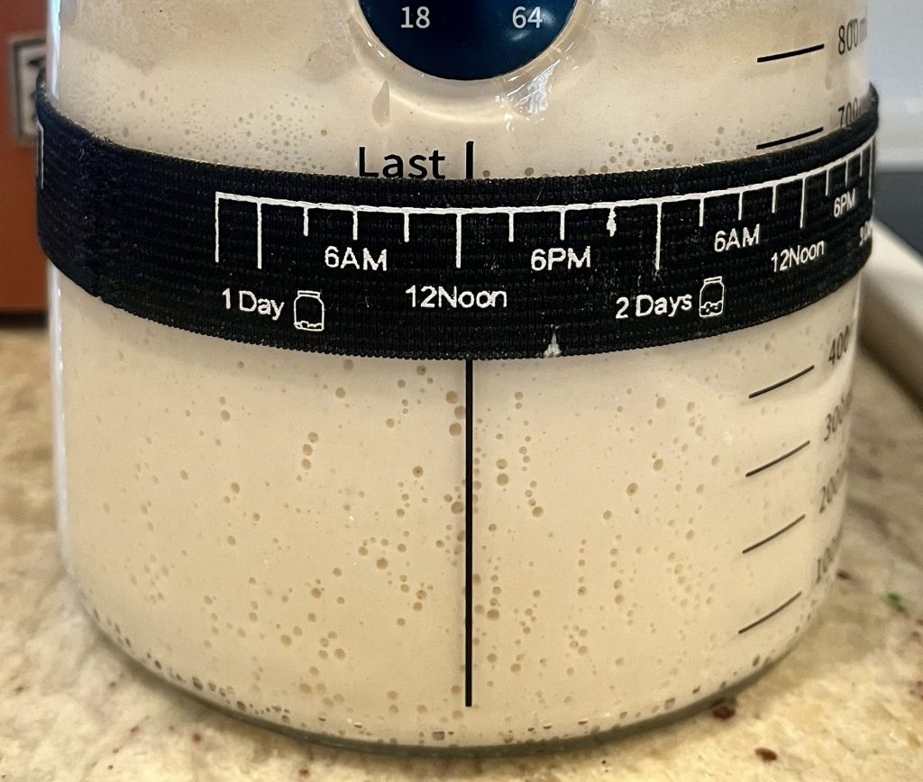 Dough-lene 2.0