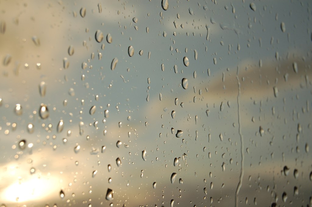 Memorial Day Weekend Washout! At least we got some well needed&nbsp;rain!